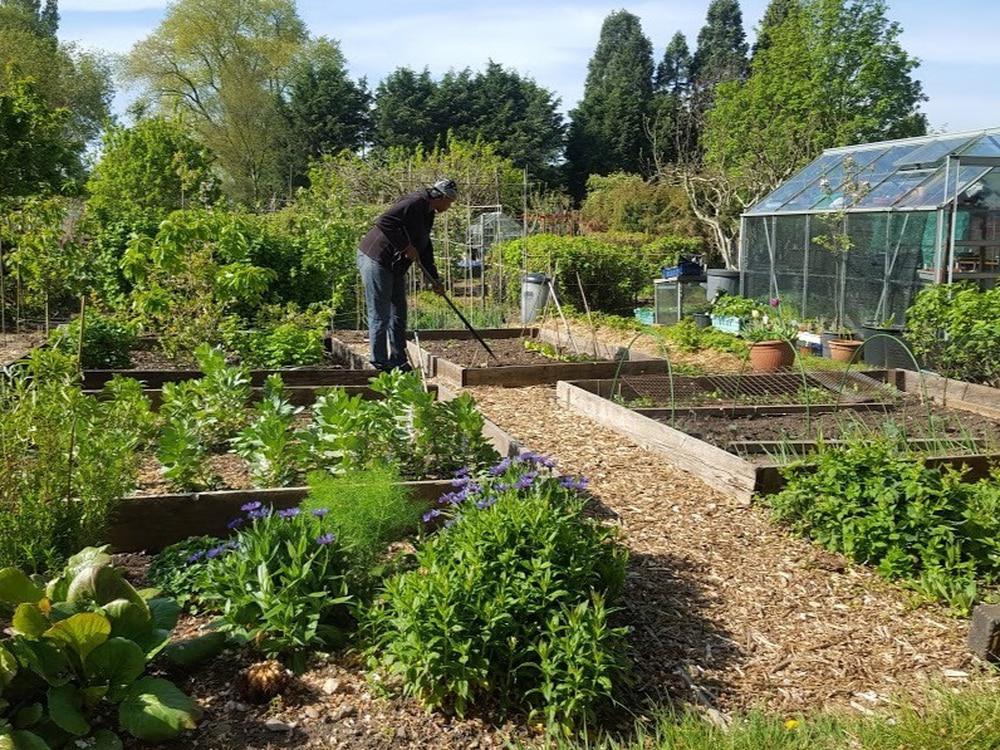 Allotments